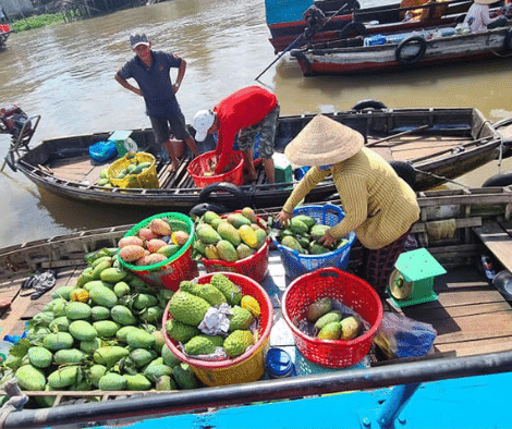 Tour Miền Tây 2 Ngày 1 Đêm